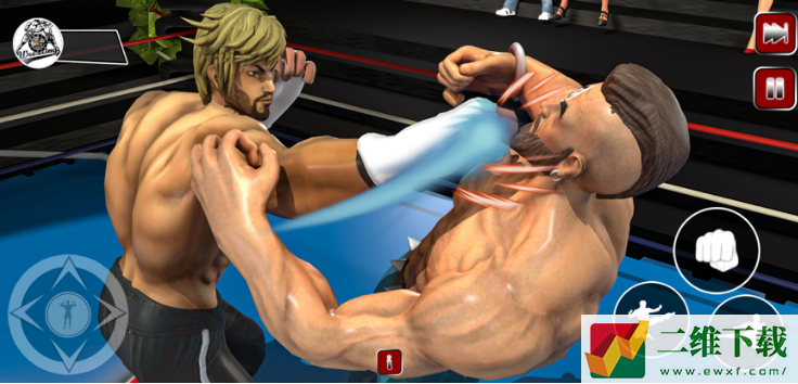 摔跤专业格斗游戏 3D图片